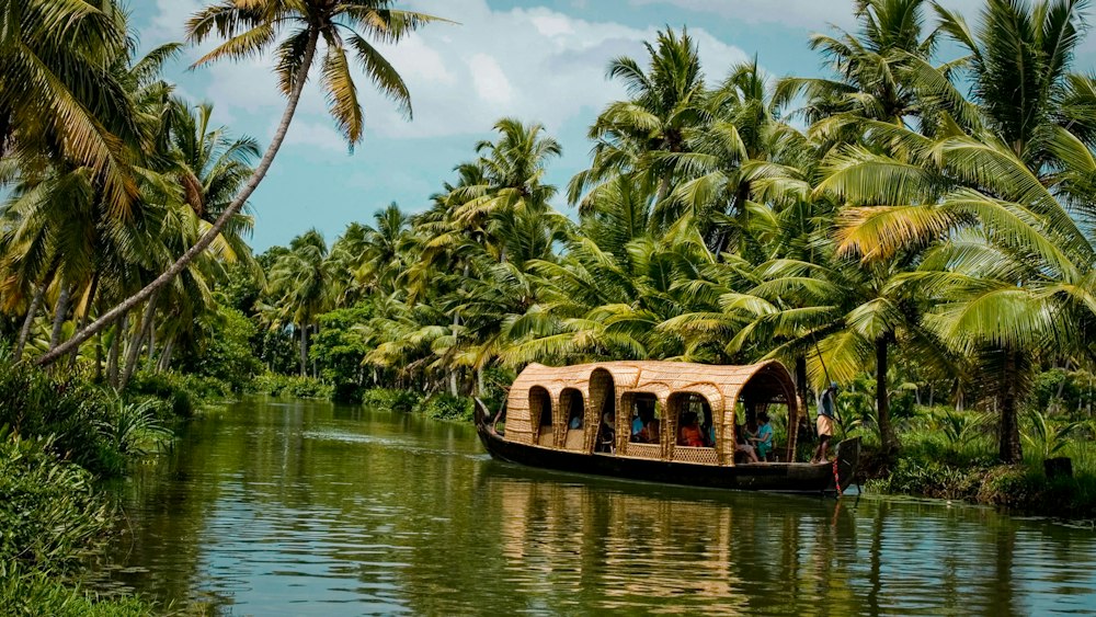 Kerala - Lush backwaters & greenery